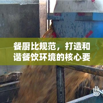 餐廚比規(guī)范，打造和諧餐飲環(huán)境的核心要素