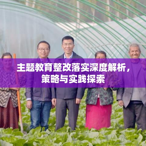 主題教育整改落實(shí)深度解析，策略與實(shí)踐探索