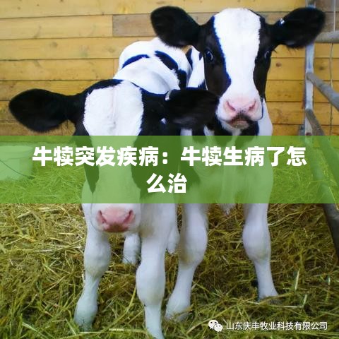 牛犢突發(fā)疾?。号偕×嗽趺粗?