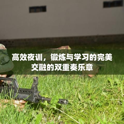 高效夜訓(xùn)，鍛煉與學(xué)習(xí)的完美交融的雙重奏樂章