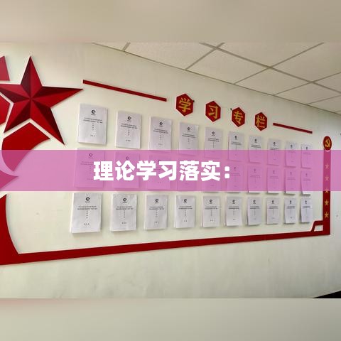 理論學(xué)習(xí)落實(shí)： 