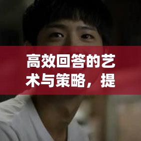 高效回答的藝術(shù)與策略，提升回答質(zhì)量，輕松吸引關(guān)注