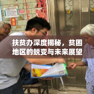 扶貧辦深度揭秘，貧困地區(qū)的蛻變與未來展望
