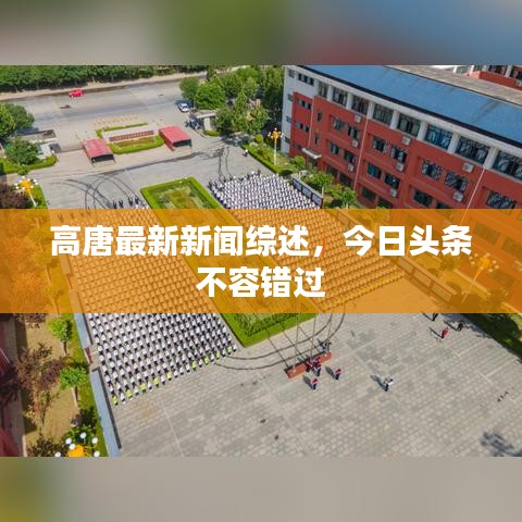 高唐最新新聞綜述，今日頭條不容錯過