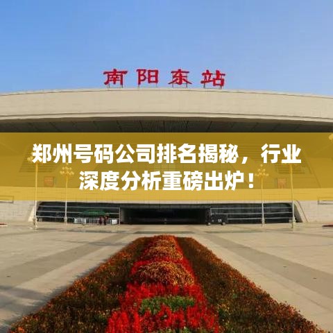 鄭州號(hào)碼公司排名揭秘，行業(yè)深度分析重磅出爐！