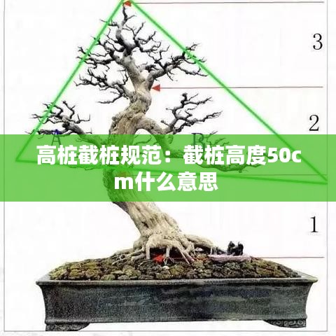 高樁截樁規(guī)范：截樁高度50cm什么意思 