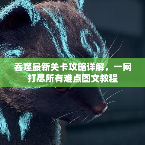 吞噬最新關(guān)卡攻略詳解，一網(wǎng)打盡所有難點(diǎn)圖文教程