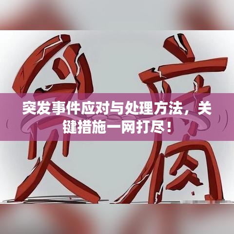 突發(fā)事件應(yīng)對與處理方法，關(guān)鍵措施一網(wǎng)打盡！