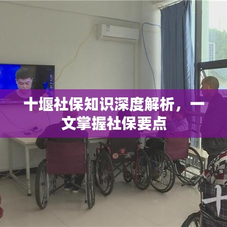 十堰社保知識深度解析，一文掌握社保要點