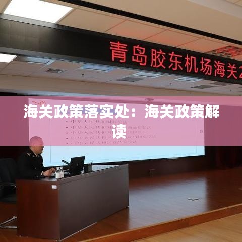 海關(guān)政策落實(shí)處：海關(guān)政策解讀 