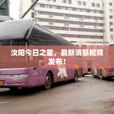 汝陽今日之星，最新消息視頻發(fā)布！