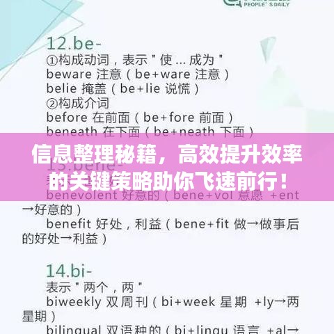信息整理秘籍，高效提升效率的關鍵策略助你飛速前行！
