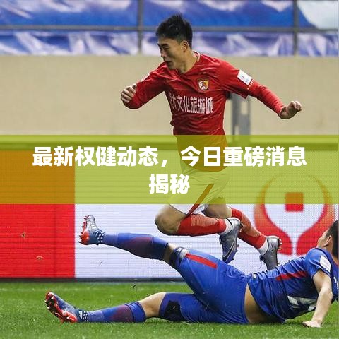 最新權(quán)健動態(tài)，今日重磅消息揭秘