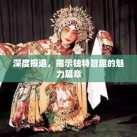 深度報(bào)道，揭示獨(dú)特旨趣的魅力篇章