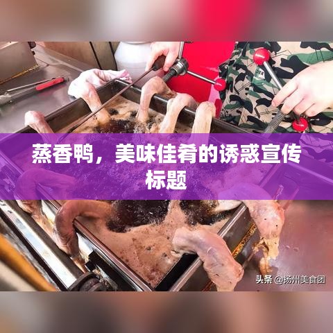 蒸香鴨，美味佳肴的誘惑宣傳標題