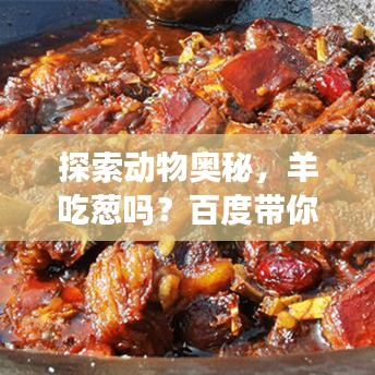 探索動(dòng)物奧秘，羊吃蔥嗎？百度帶你揭秘自然世界！