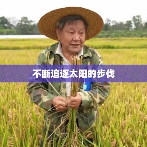 不斷追逐太陽(yáng)的步伐