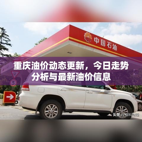 重慶油價(jià)動(dòng)態(tài)更新，今日走勢(shì)分析與最新油價(jià)信息