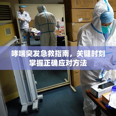 哮喘突發(fā)急救指南，關(guān)鍵時刻掌握正確應(yīng)對方法