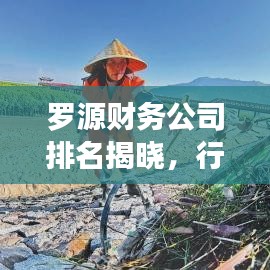 羅源財務(wù)公司排名揭曉，行業(yè)影響力不容小覷