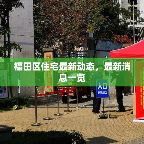 堂而皇之 第3頁