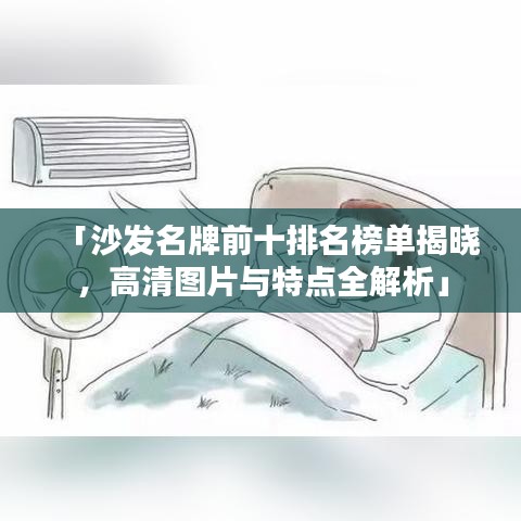 「沙發(fā)名牌前十排名榜單揭曉，高清圖片與特點全解析」