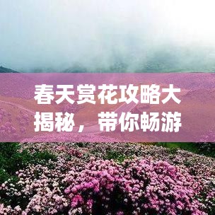 富貴榮華 第3頁