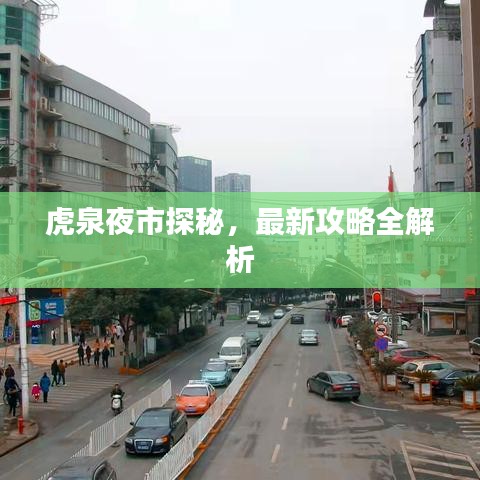 虎泉夜市探秘，最新攻略全解析