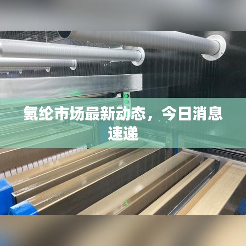 氨綸市場(chǎng)最新動(dòng)態(tài)，今日消息速遞