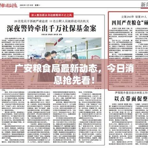 廣安糧食局最新動(dòng)態(tài)，今日消息搶先看！