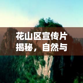 花山區(qū)宣傳片揭秘，自然與人文的絕美交融