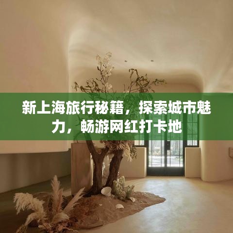 新上海旅行秘籍，探索城市魅力，暢游網紅打卡地