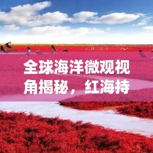 全球海洋微觀視角揭秘，紅海持續(xù)擴(kuò)張的神秘力量