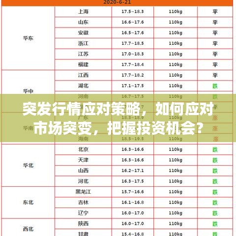 突發(fā)行情應對策略，如何應對市場突變，把握投資機會？