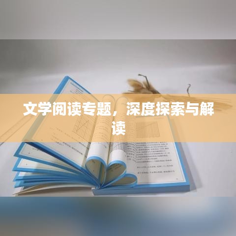 文學(xué)閱讀專題，深度探索與解讀