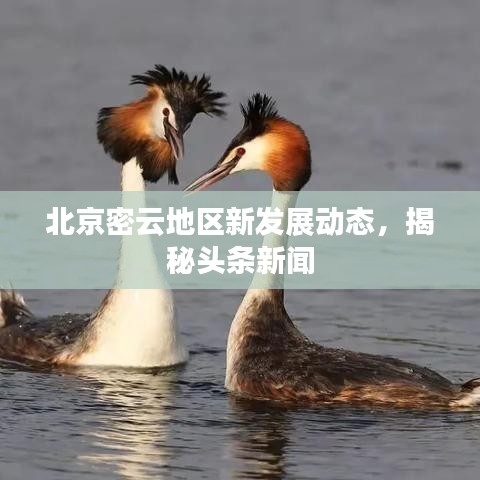 北京密云地區(qū)新發(fā)展動(dòng)態(tài)，揭秘頭條新聞
