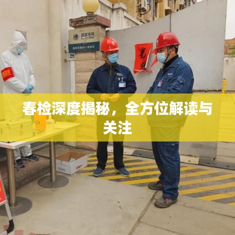 春檢深度揭秘，全方位解讀與關注