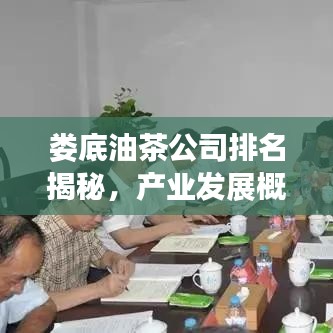 婁底油茶公司排名揭秘，產業(yè)發(fā)展概覽