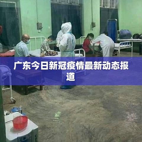 廣東今日新冠疫情最新動態(tài)報道