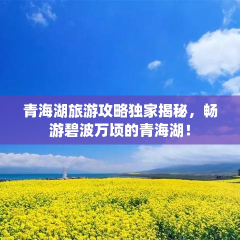青海湖旅游攻略獨(dú)家揭秘，暢游碧波萬頃的青海湖！