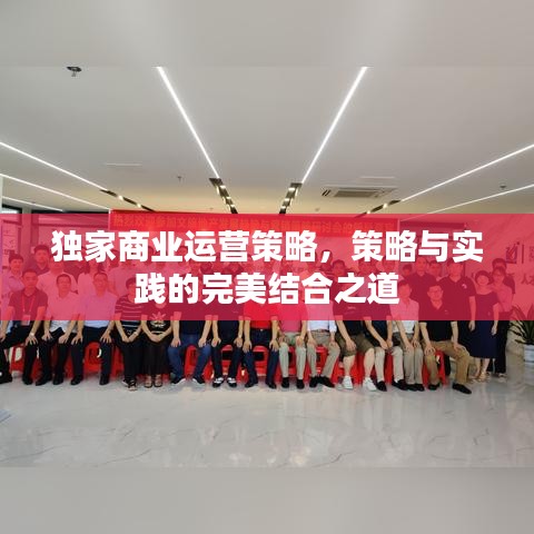 獨家商業(yè)運營策略，策略與實踐的完美結(jié)合之道