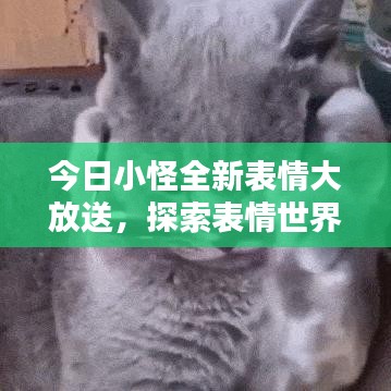 今日小怪全新表情大放送，探索表情世界的無限魅力！