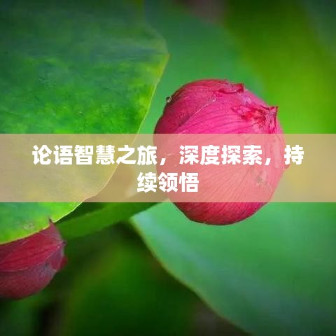 論語智慧之旅，深度探索，持續(xù)領(lǐng)悟