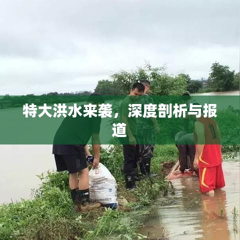特大洪水來襲，深度剖析與報道