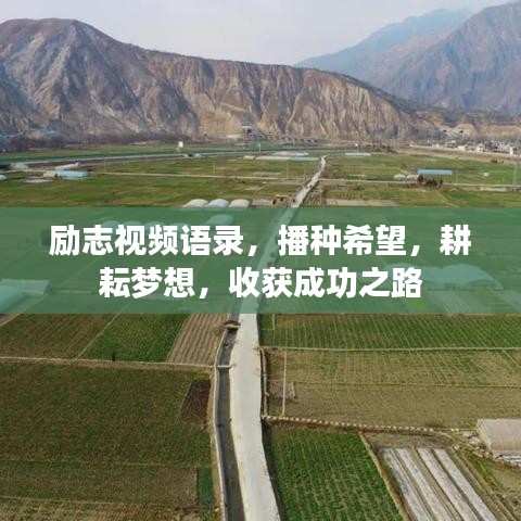 勵志視頻語錄，播種希望，耕耘夢想，收獲成功之路