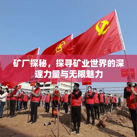 礦廠探秘，探尋礦業(yè)世界的深邃力量與無限魅力