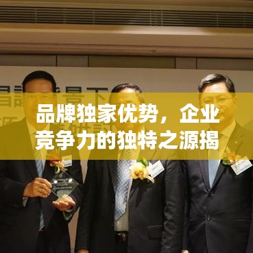品牌獨家優(yōu)勢，企業(yè)競爭力的獨特之源揭秘