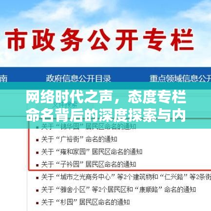 網(wǎng)絡時代之聲，態(tài)度專欄命名背后的深度探索與內(nèi)涵解析