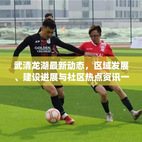 武清龍湖最新動態(tài)，區(qū)域發(fā)展、建設(shè)進(jìn)展與社區(qū)熱點資訊一網(wǎng)打盡