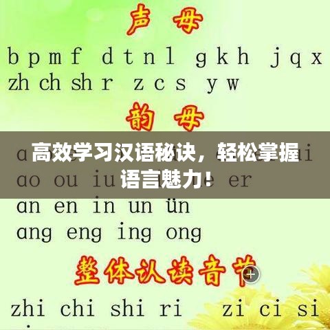 高效學(xué)習(xí)漢語秘訣，輕松掌握語言魅力！